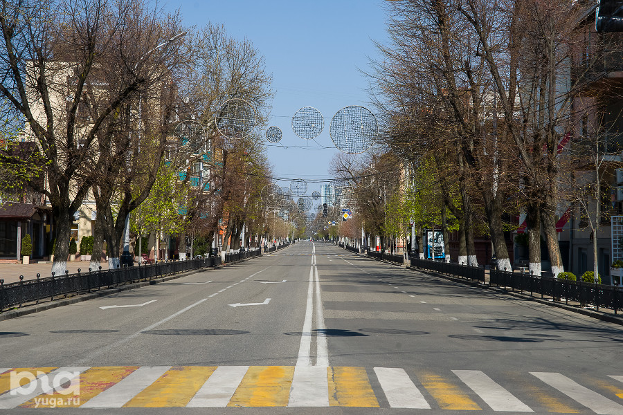 В Краснодаре представили проект озеленения улицы Красной