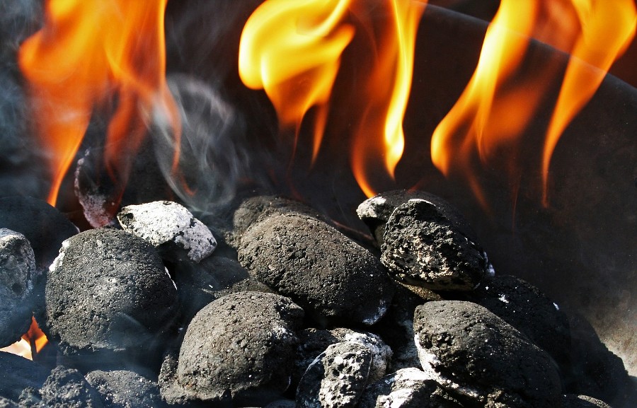 В Адыгее появились десятки нелегальных «углежогов» после открытия предприятия по производству угля