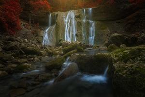 Выставка финалистов фотоконкурса «Пойми живой язык природы» © Фото Павла Баранникова