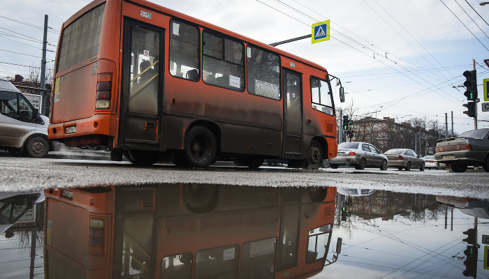  © Фото Елены Синеок, Юга.ру