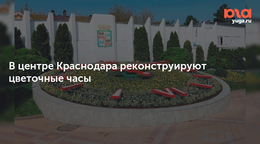 Краснодар часы из цветов