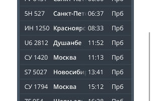  © Скриншот https://cekport.ru/passengers/information/timetable/