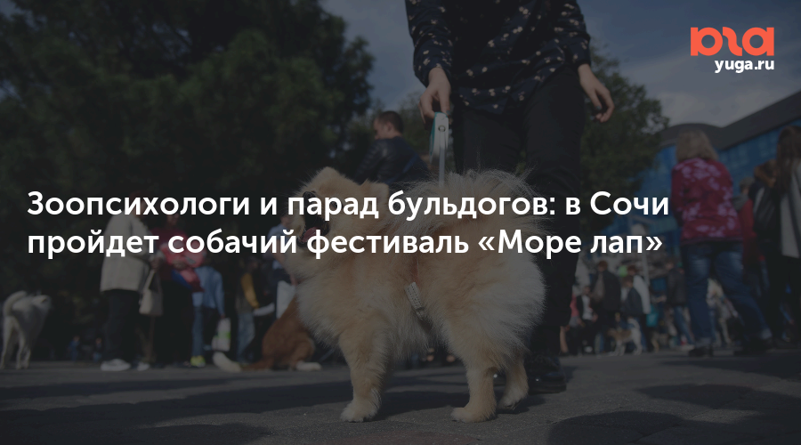 Парад бульдогов в москве