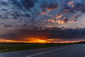 Выставка финалистов фотоконкурса «Пойми живой язык природы» © Фото Сергея Долгополова