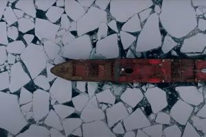 Кадр из трейлера к фильму «В Арктику» © Скриншот видео с YouTube-канала «КИНО.АРТ.ПРО»