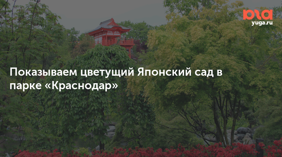 Билеты в японский сад краснодар. Парк Галицкого японский сад. Японский сад в парке Галицкого. QR код японский сад Краснодар. Японский сад в парке Галицкого в Краснодаре.