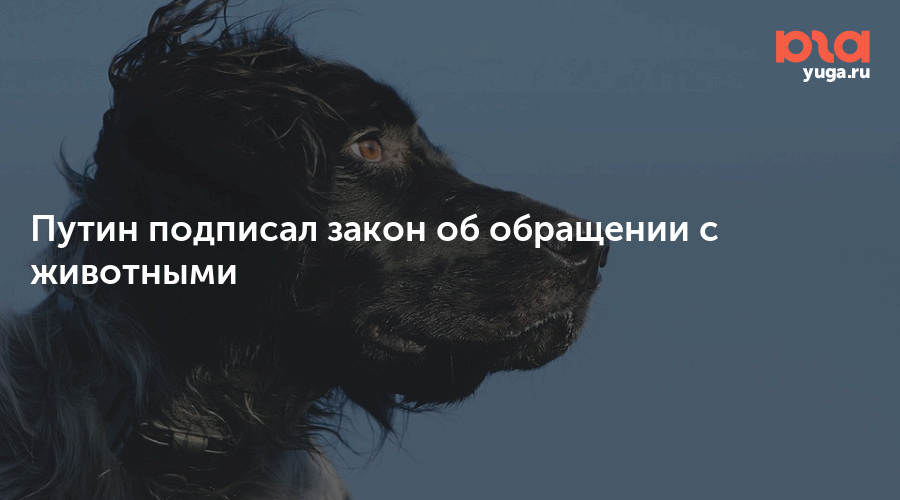 Закон зверя. Путин подписал закон о гуманном обращении с животными.