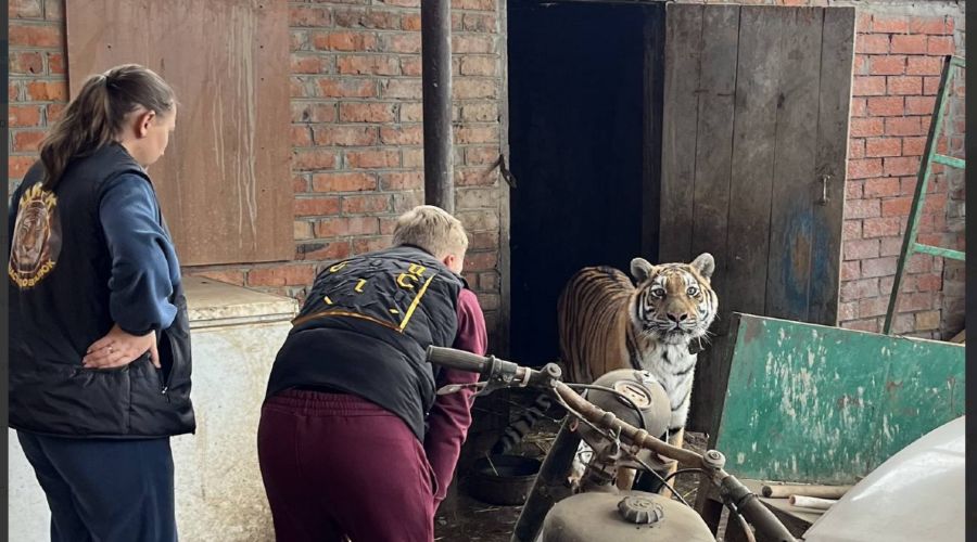  © Скриншот из телеграм-канала прокуратуры Краснодарского края https://t.me/proc_23/16813