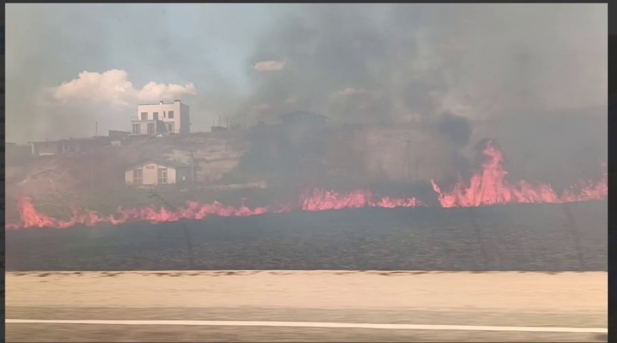  © Скриншот из телеграм-канала «Юрий Озаровский Анапа Витязево» https://t.me/MoreOz/36072