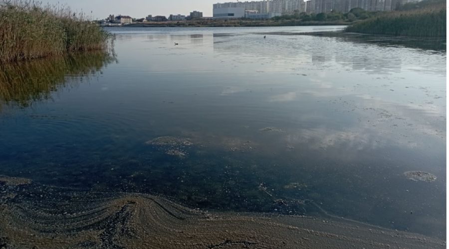 В Новороссийске Суджукская лагуна покрылась грязной пленкой