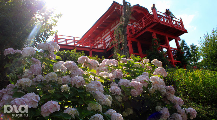 Бесплатный музей, сад бонсай, кимоно в аренду