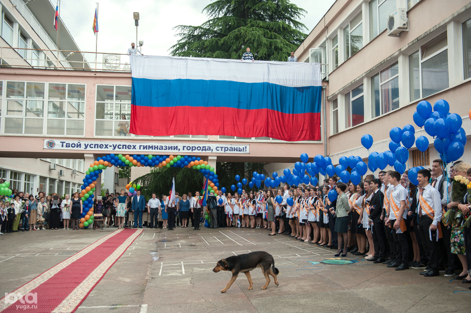 Сош сочи. 24 Гимназия Сочи. Школа 4 Сочи. Школа 24 города Сочи. Сочи гимназия 10.