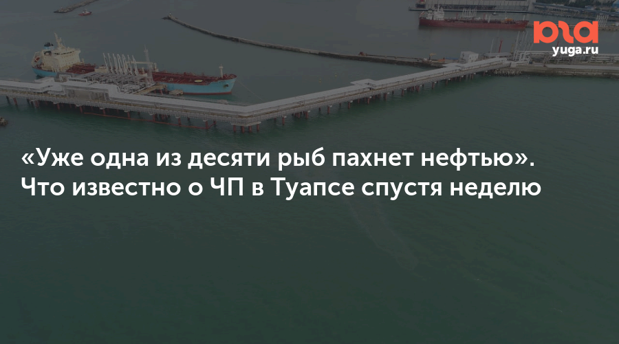 Почему вода пахнет рыбой. Разлив нефти в Туапсе. Нефть пахнет. КТК разлив нефти Новороссийск. Политика часто пахнет нефтью.