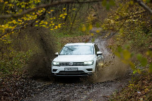 На Volkswagen Tiguan к Медвежьей горе © Фото Елены Синеок, Юга.ру