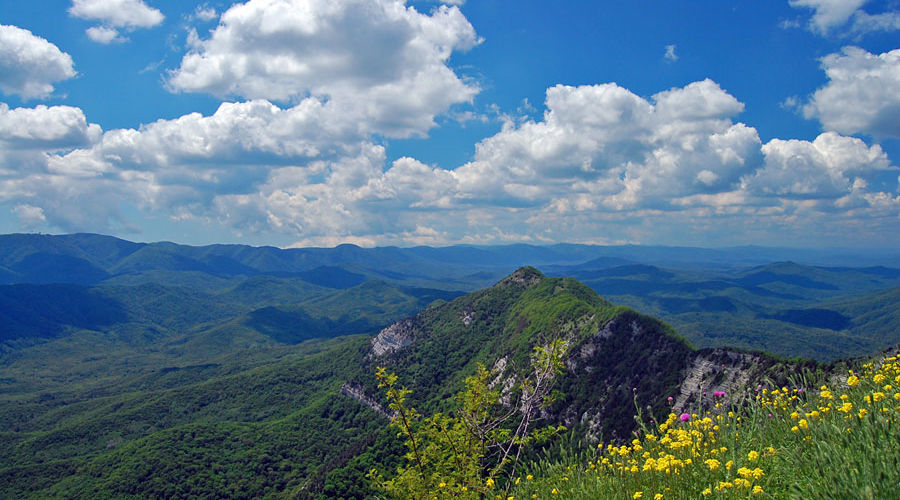 Гора Папай Геленджик