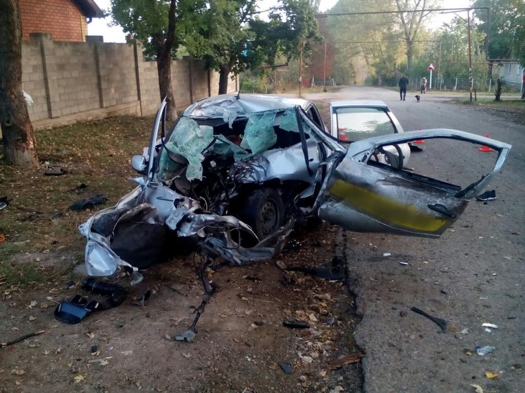 Фото Деревьев Ставропольского Края