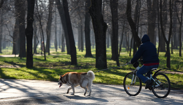  © Фото Елены Синеок, Юга.ру