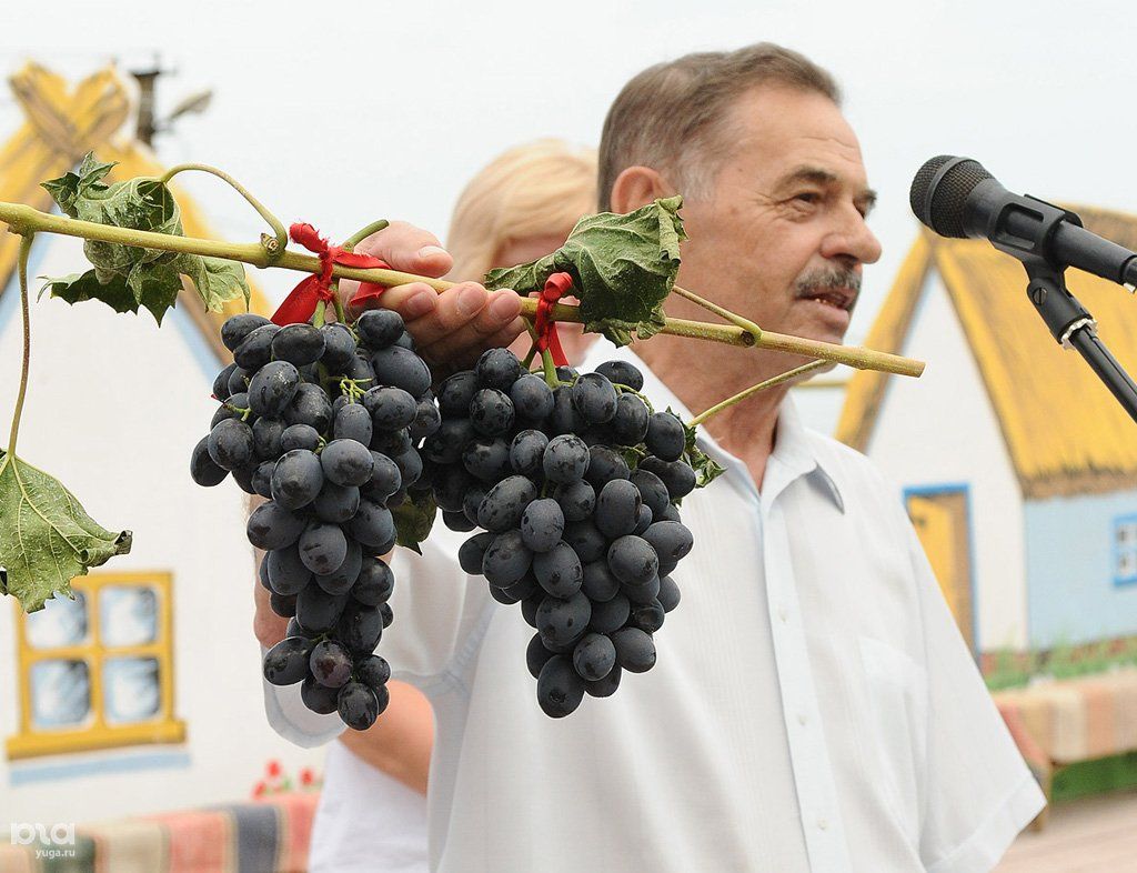 Винодел и виноградарь