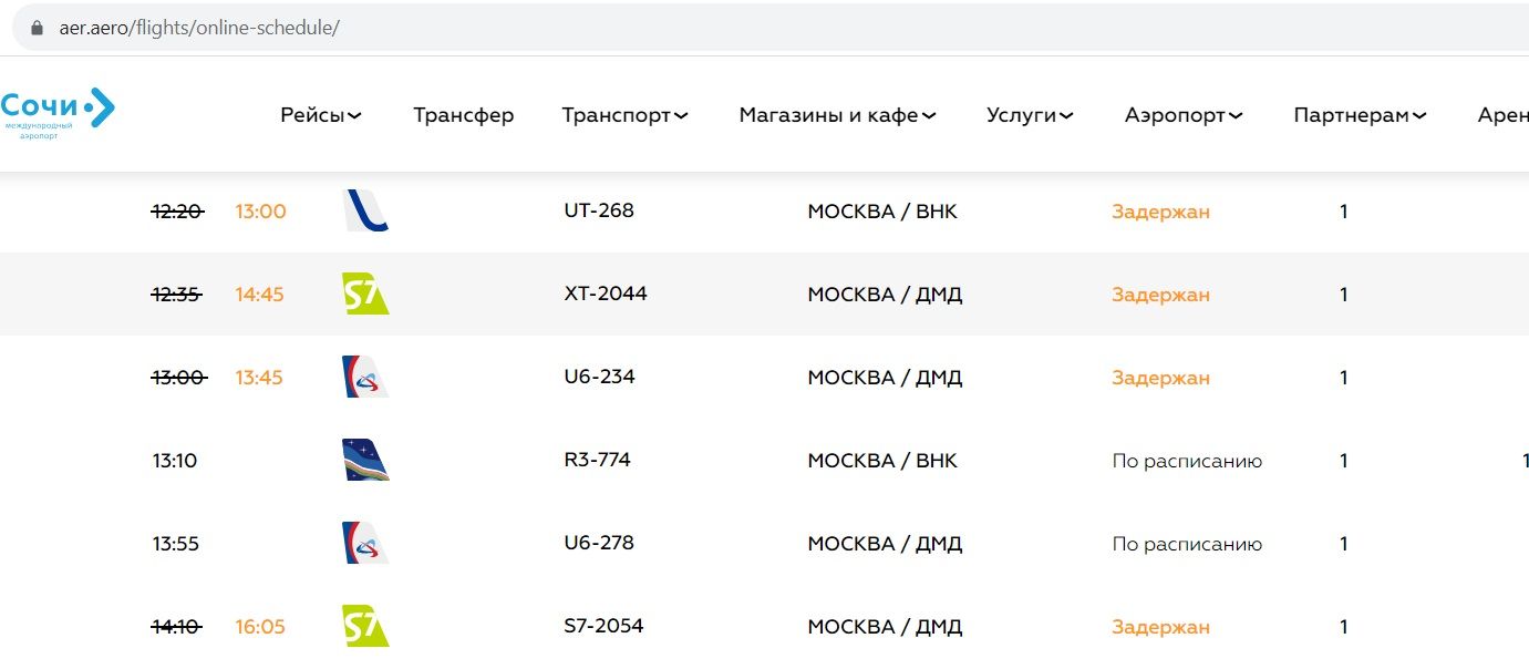 В Москве временно ограничили работу нескольких аэропортов. Рейсы в Сочи  задержаны