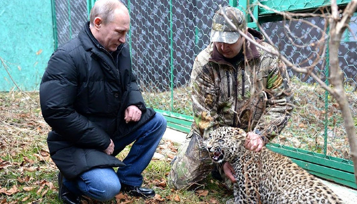 Центр разведения и реабилитации переднеазиатского леопарда © Фото пресс-службы Кремля, kremlin.ru