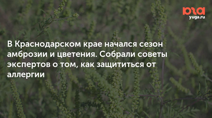 В Краснодаре ведущие российские пульмонологи дали старт акции «Здоровые легкие»